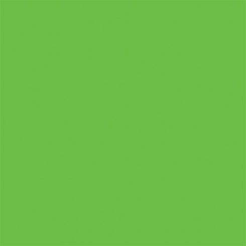 Green Solid Nintendo 2DS XL (2017) Skin